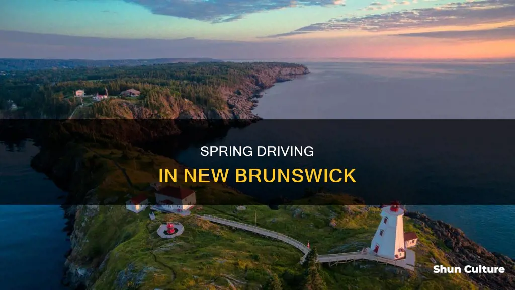 can I drive in new brunswick in april