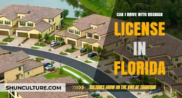 Driving in Florida with a Bosnian License: What You Need to Know