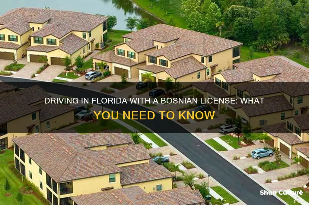 can I drive with bosnian license in Florida