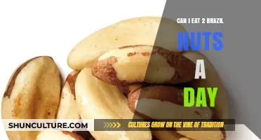 Daily Brazil Nut Intake: Benefits and Risks of Eating Two