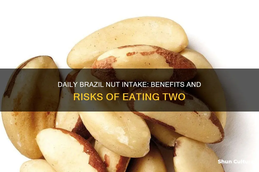 can I eat 2 brazil nuts a day