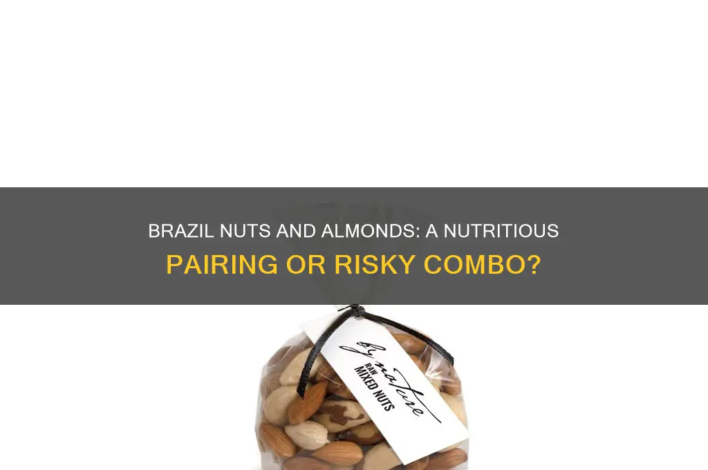 can I eat brazil nuts and almonds together