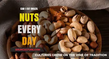 Daily Brazil Nuts: Benefits, Risks, and Safe Consumption Tips