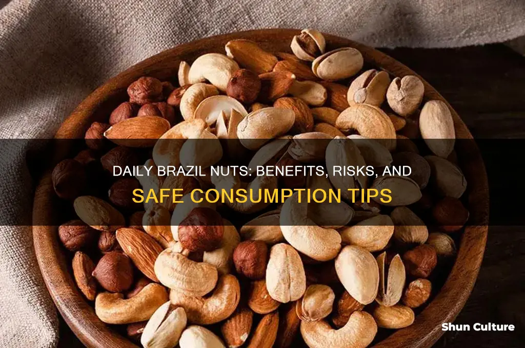 can I eat brazil nuts every day