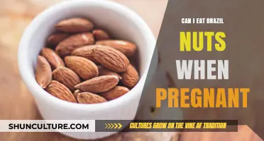 Pregnancy Nutrition Guide: Are Brazil Nuts Safe to Eat?