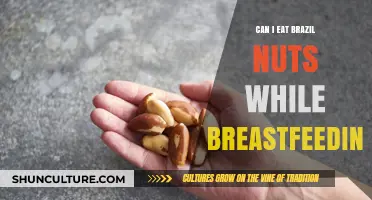 Breastfeeding and Brazil Nuts: Safe or Not for Nursing Moms?