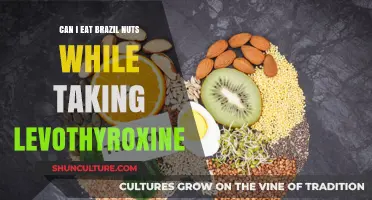Brazil Nuts and Levothyroxine: Safe to Eat Together?