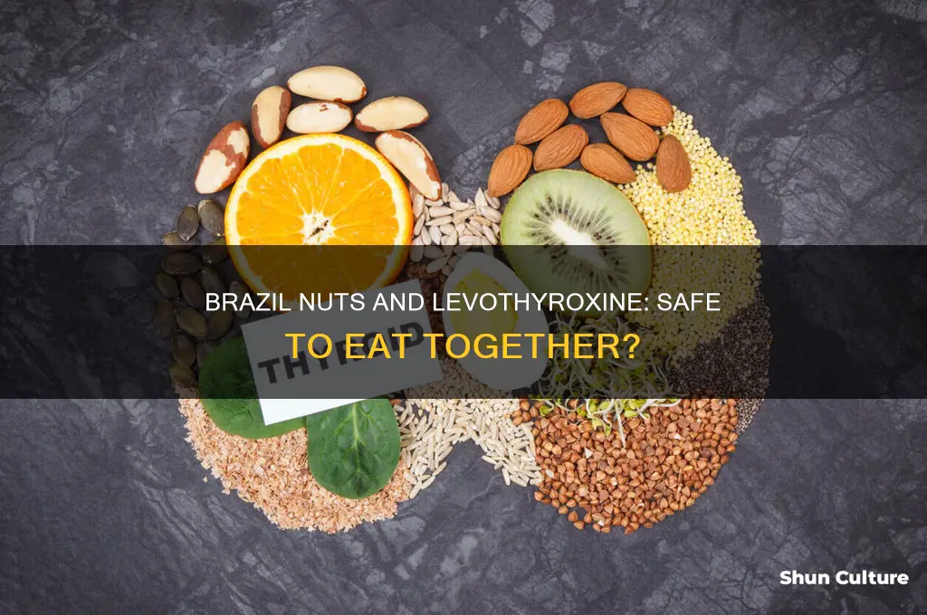can I eat brazil nuts while taking levothyroxine
