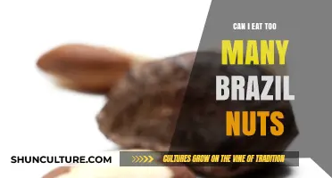 Brazil Nuts: Balancing Benefits and Risks of Overconsumption