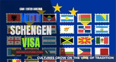 Schengen Visa: Entry to Austria Explained