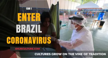 Traveling to Brazil During COVID-19: Entry Requirements and Coronavirus Updates