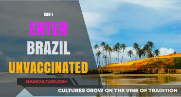 Traveling to Brazil Unvaccinated: Current Entry Requirements and Guidelines