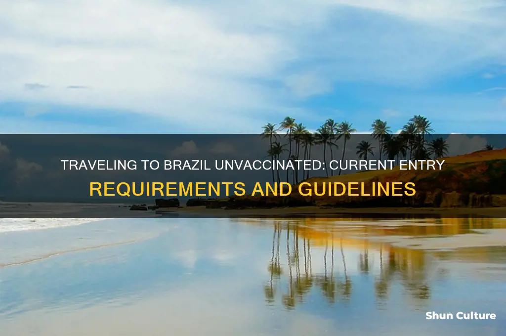 can I enter brazil unvaccinated