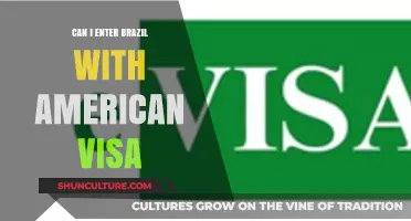 Traveling to Brazil with a US Visa: What You Need to Know