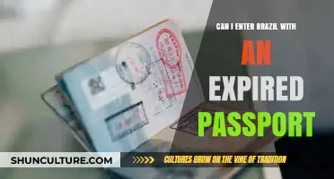 Expired Passport Travel: Can You Enter Brazil Without Renewal?