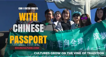 Traveling to Brazil with a Chinese Passport: Entry Requirements Explained