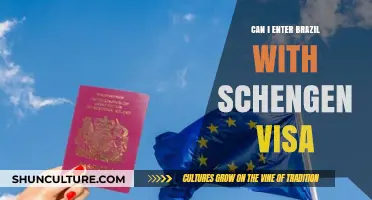 Schengen Visa for Brazil: Entry Rules and Travel Tips