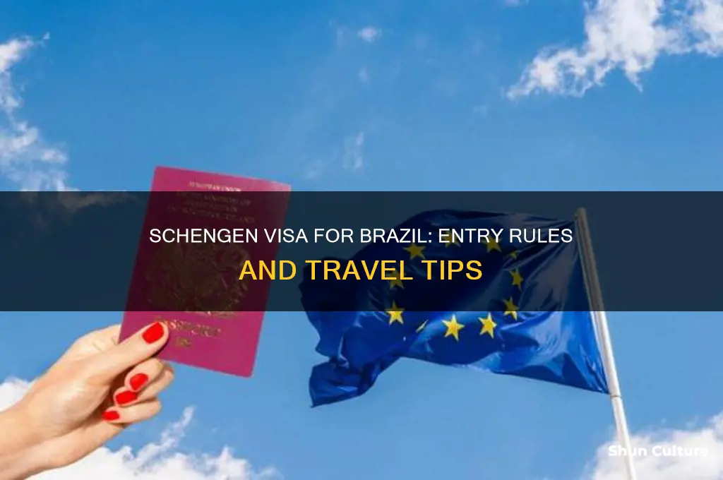 can I enter brazil with schengen visa