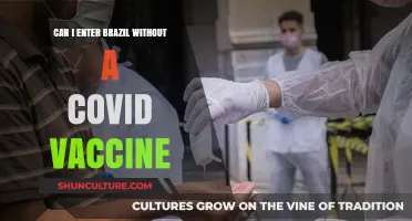 Traveling to Brazil: COVID Vaccine Requirements and Entry Rules Explained