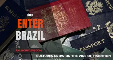 Can I Enter Brazil? Visa Requirements and Travel Tips for Visitors