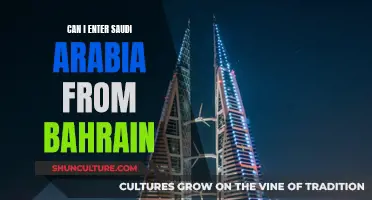 Exploring Saudi Arabia: Entry via Bahrain, Possible?