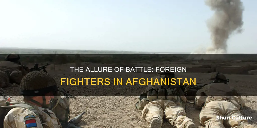 can I fight in afghanistan