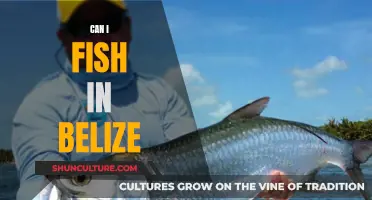 Belize Fishing: What's the Deal?