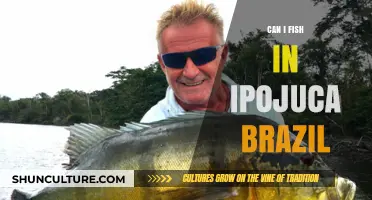 Fishing in Ipojuca, Brazil: A Guide to Rules and Best Spots