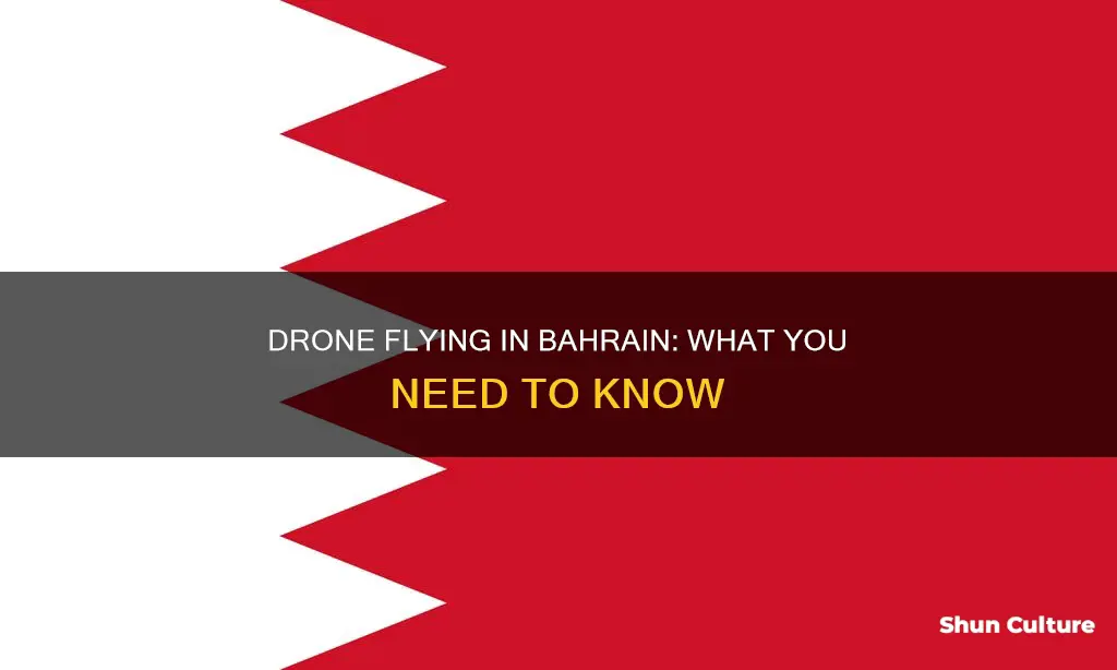 can I fly drone in bahrain