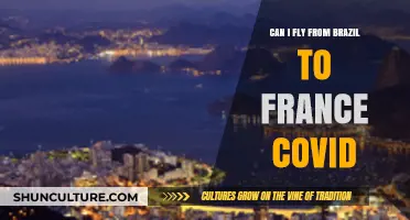 Flying from Brazil to France During COVID: What You Need to Know