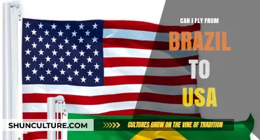Flying from Brazil to the USA: Your Ultimate Travel Guide