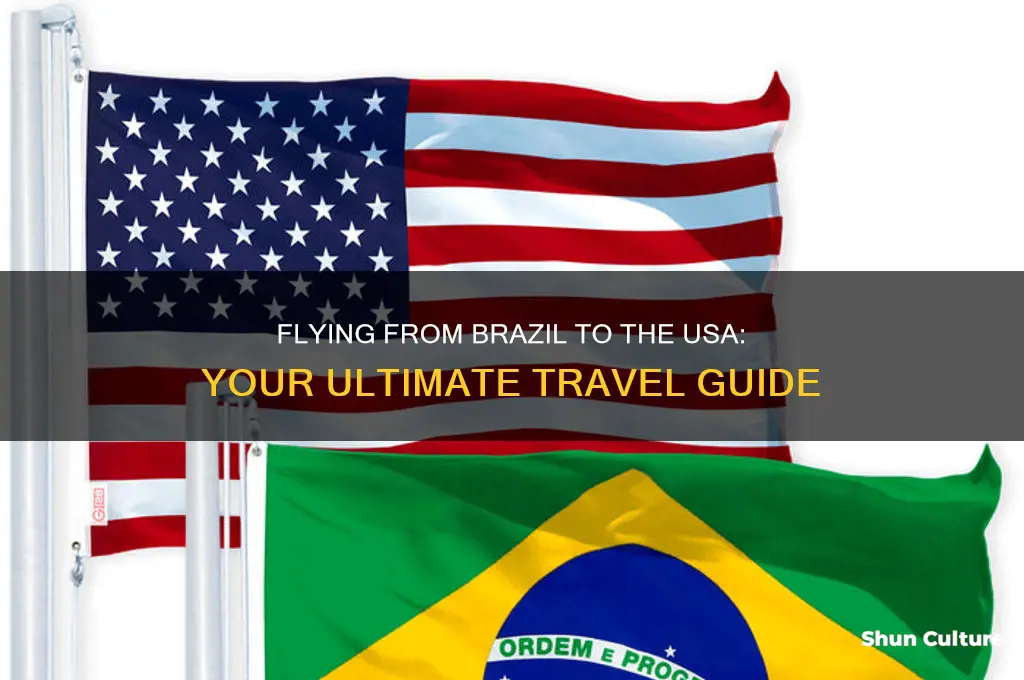 can I fly from brazil to usa