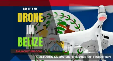 Drone Flying in Belize: What You Need to Know