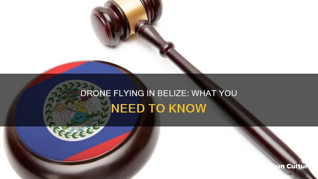 can I fly my drone in belize