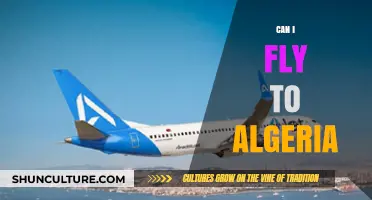 Flying to Algeria: Essential Travel Tips and Requirements Explained