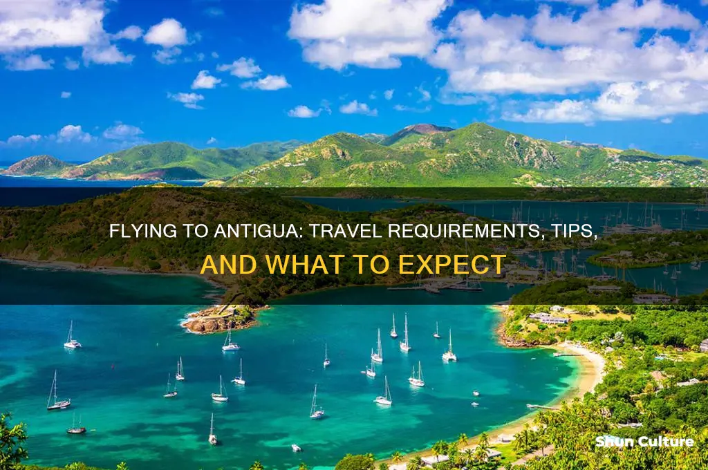 can I fly to antigua