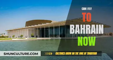 Travel to Bahrain: Flying Options Amidst COVID-19