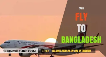 Exploring Travel Options: Can You Fly to Bangladesh?