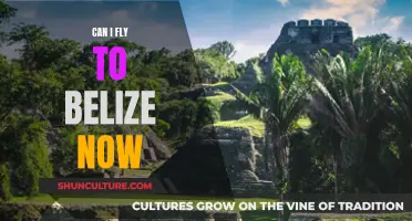 Travel Alert: Belize Flights Now Open