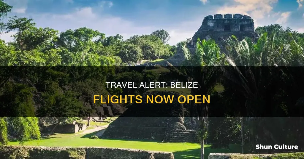 can I fly to belize now