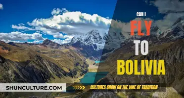 Exploring Bolivia: Air Travel Accessibility and Requirements