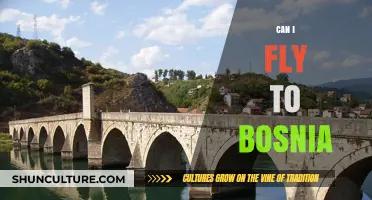 Can I Fly to Bosnia? Travel Requirements and Tips Revealed