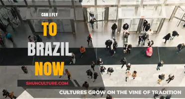 Travel to Brazil: Current Flight Restrictions and Entry Requirements Explained