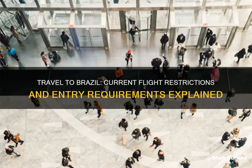 can I fly to brazil now