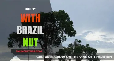 Flying with Brazil Nuts: TSA Rules and Packing Tips