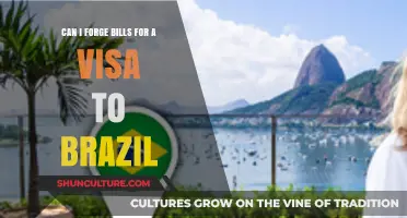 Forging Bills for a Brazil Visa: Risks, Consequences, and Legal Alternatives