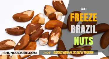 Freezing Brazil Nuts: A Guide to Preserving Their Freshness and Crunch