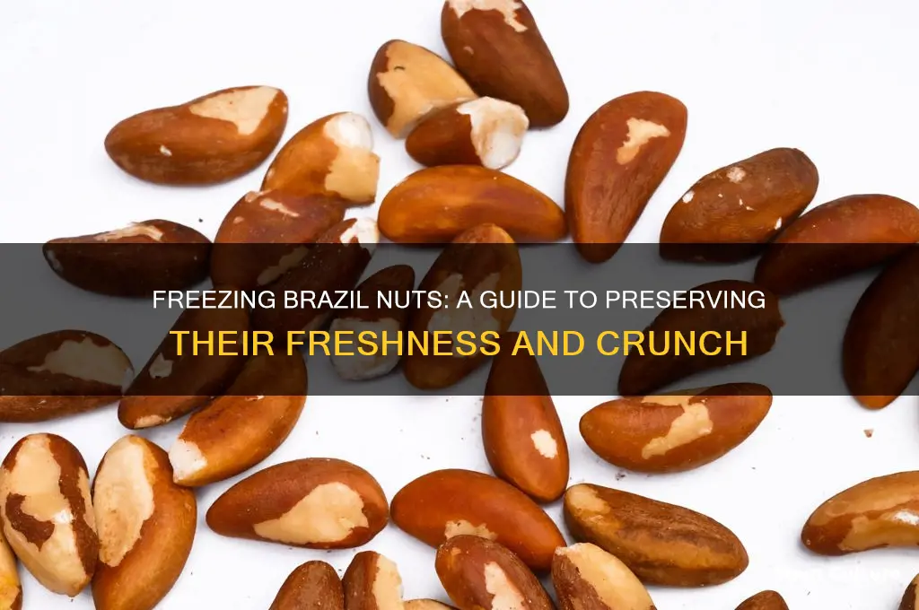 can I freeze brazil nuts