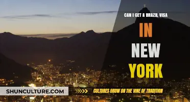How to Obtain a Brazil Visa in New York: A Complete Guide