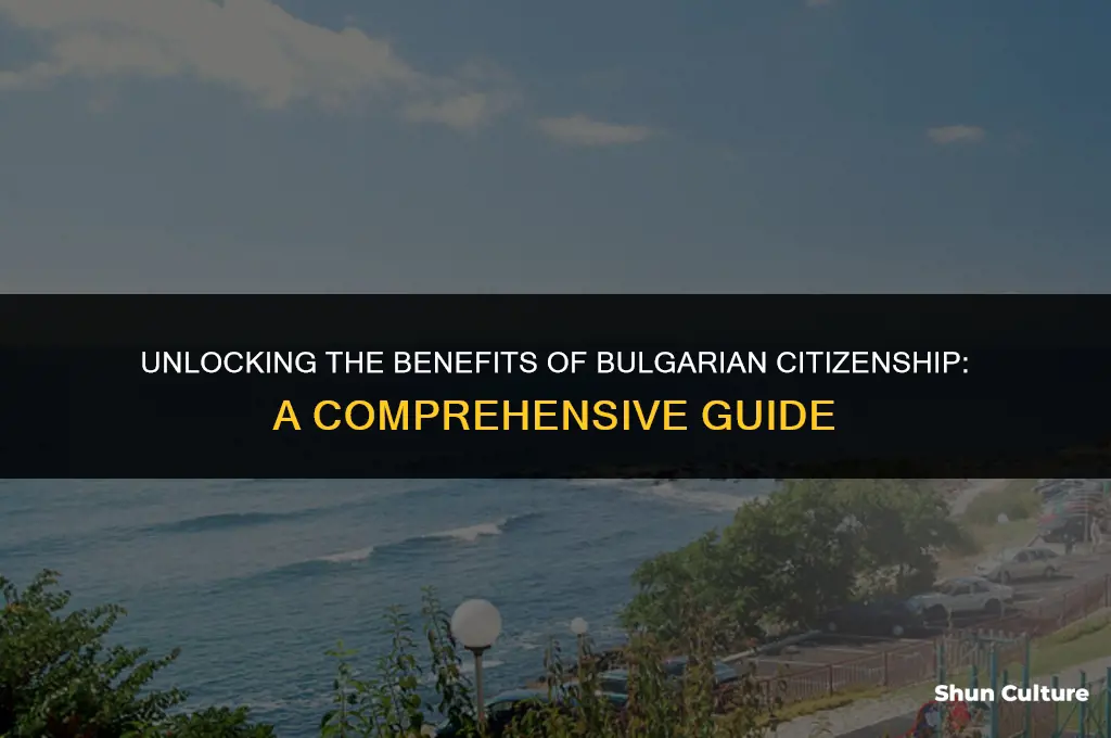 can I get a bulgarian passport